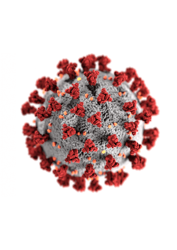 update coronavirus